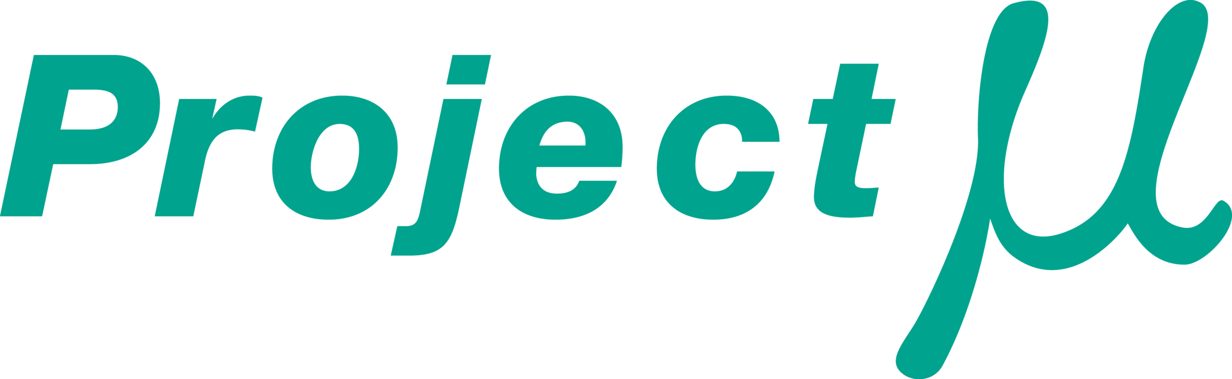 Shop Project Mu Performance Parts