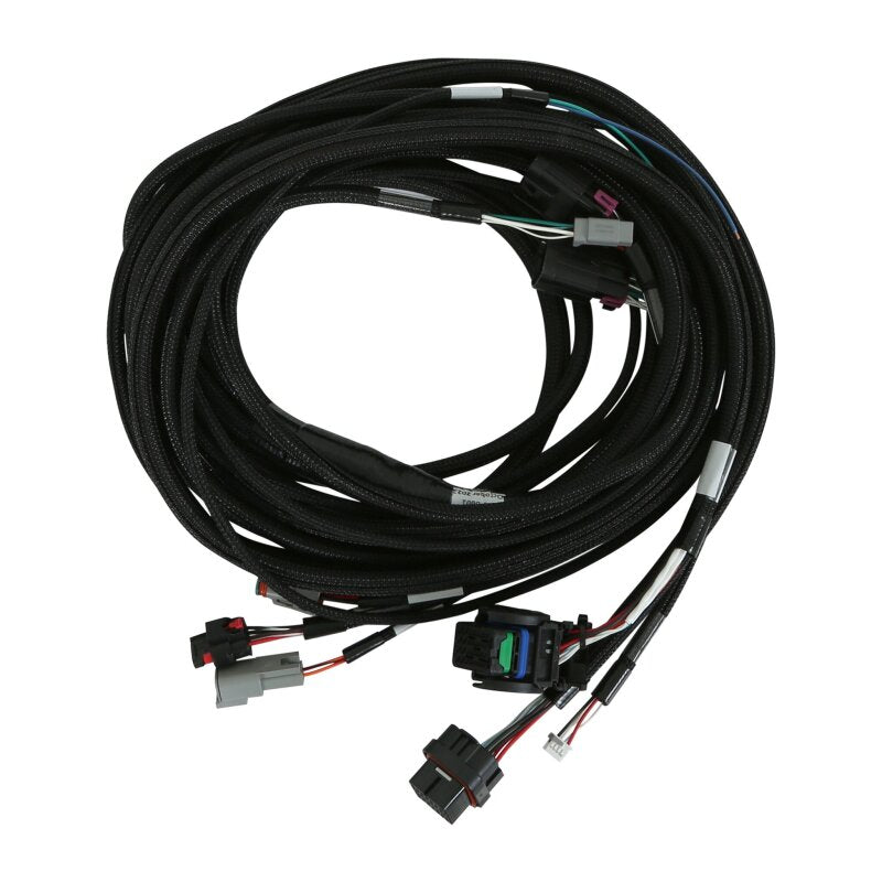 AEM VCU Universal LV Rear Harness - Universal - AEM Electronics