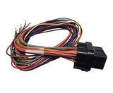 Link A Loom Short - Universal - 0.4m for G4/G4+ ECUs