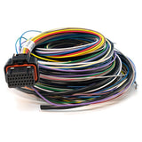 Link B Loom Medium (2LB) - Universal