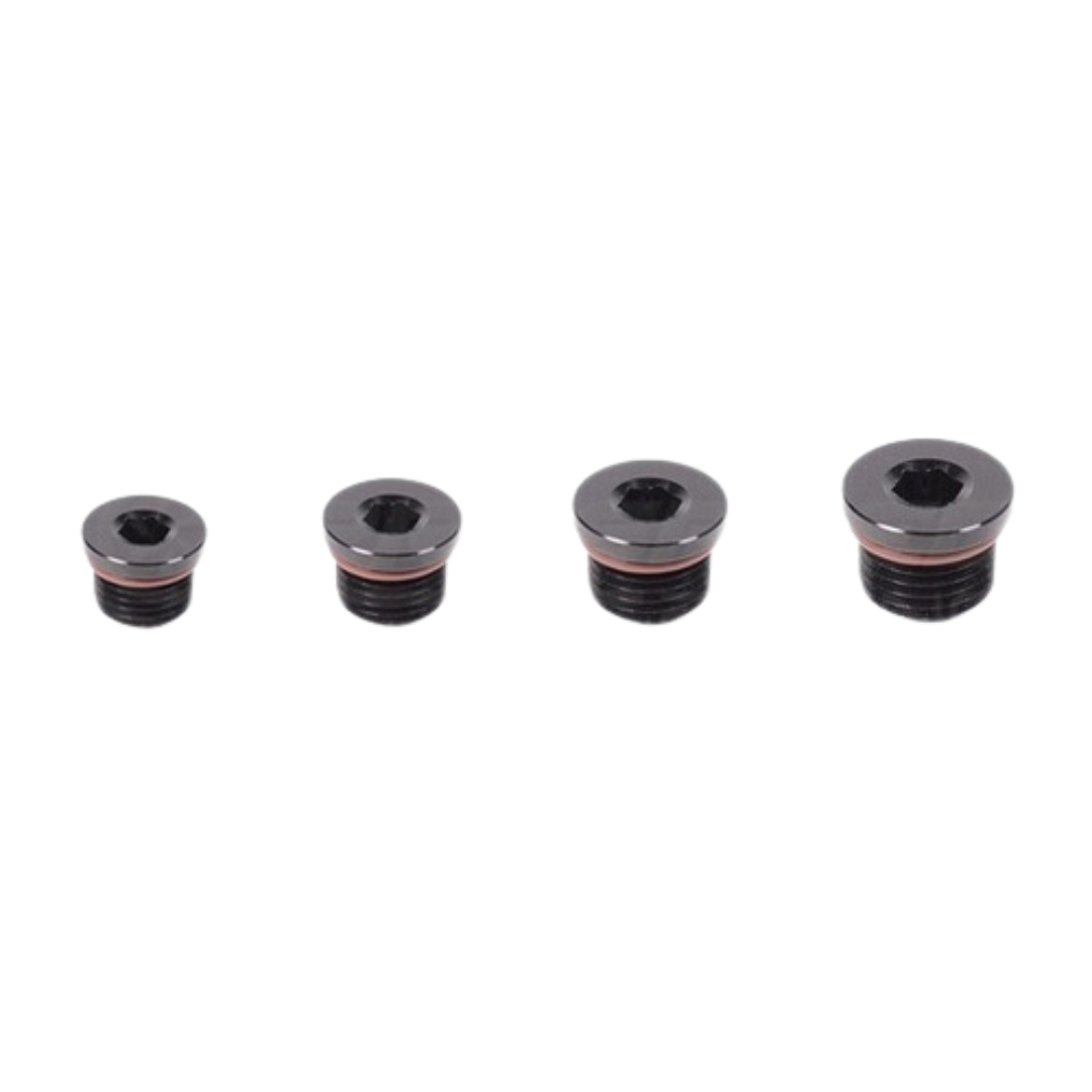 Radium Engineering AN ORB Round Internal Hex Plug - Universal