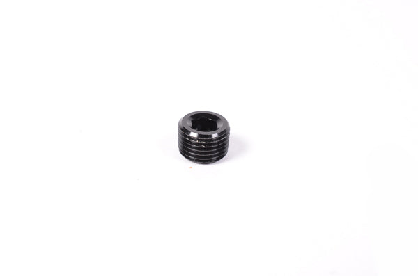 Radium Engineering NPT Round Internal Hex Plug - Universal