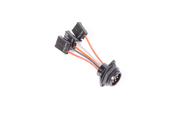 Radium Engineering Internal Bulkhead Harness - Universal - Triple Walbro 255 Pumps
