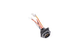 Radium Engineering Old MPFST Internal Bulkhead Harness - Universal - Triple Walbro F90000262