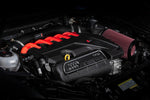 APR Carbon Fiber Intake Filter System - Audi RS3 (8V) TT RS (8S/8S Facelift) - Image 11 - APR Thumbnail