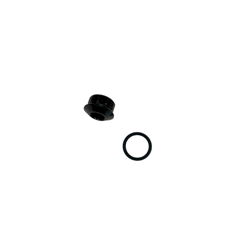 GFB 6AN Male Blanking Plug - Suits FXR 8060 - GFB
