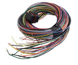Link A Loom Medium - Universal - G4/G4+ ECU - 2.5m