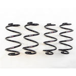 RS-R Ti2000 Down Lowering Springs - Audi A4 2.0 TFSI quattro (B8) - RS-R Thumbnail