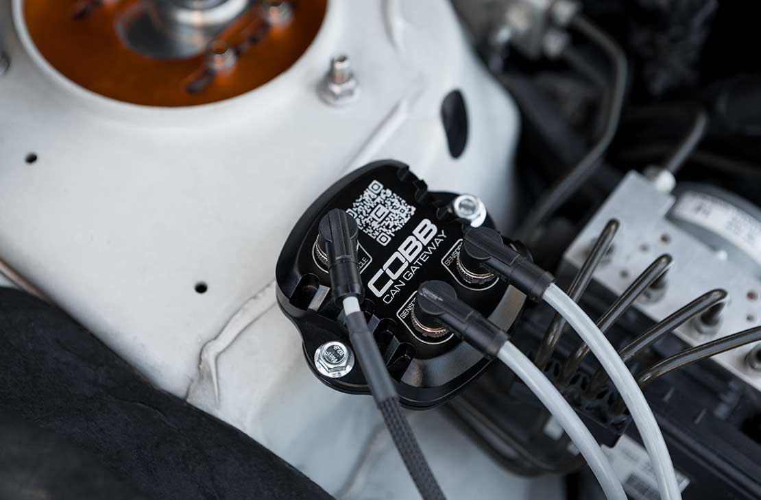 COBB CAN Gateway module – mounted in engine bay beside the strut tower