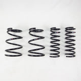RS-R Down Lowering Springs - Subaru WRX STI (VA)