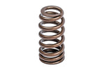 APR Valve Spring Kit - Universal - Single - Image 2 - APR Thumbnail