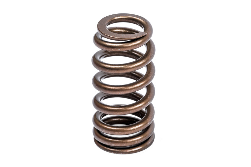 APR Valve Spring Kit - Universal - Single - Image 2