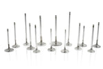 Ferrea engine valves standing in a row (product illustration) - Ferrea Thumbnail