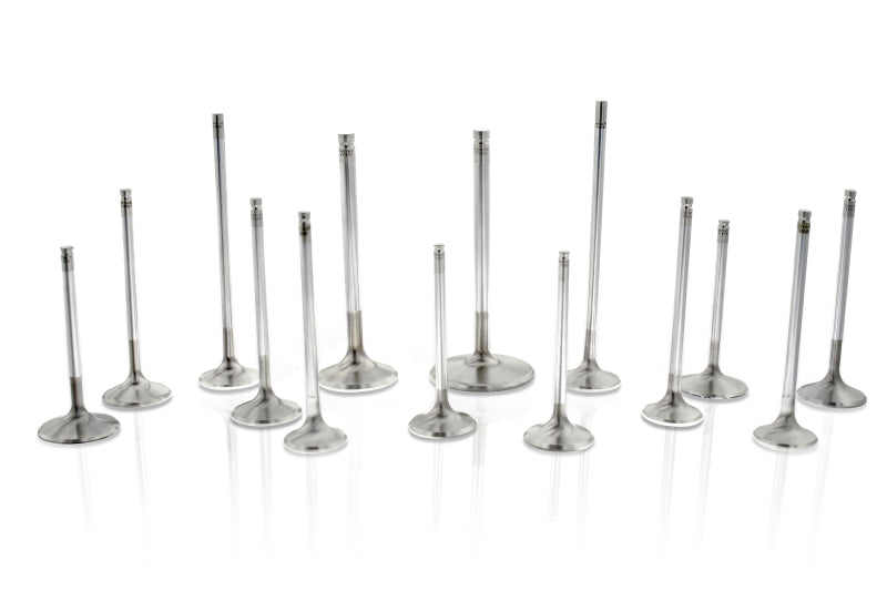 Ferrea engine valves standing in a row (product illustration)