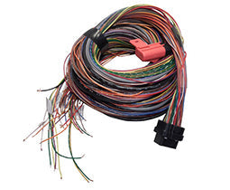Link A Loom Long - Universal - 5m G4/G4+ ECU Loom