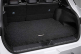 LEXUS Cargo Mat – LBX MORIZO RR (25+)