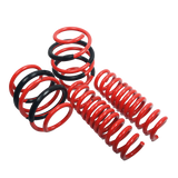 AST Suspension Lowering Springs - Ford Escort Cosworth (GAL)