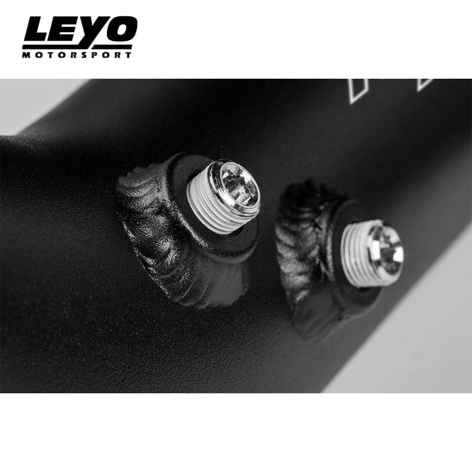 LEYO throttle pipe – Audi RS3 8V – two methanol bungs with plugs, close-up