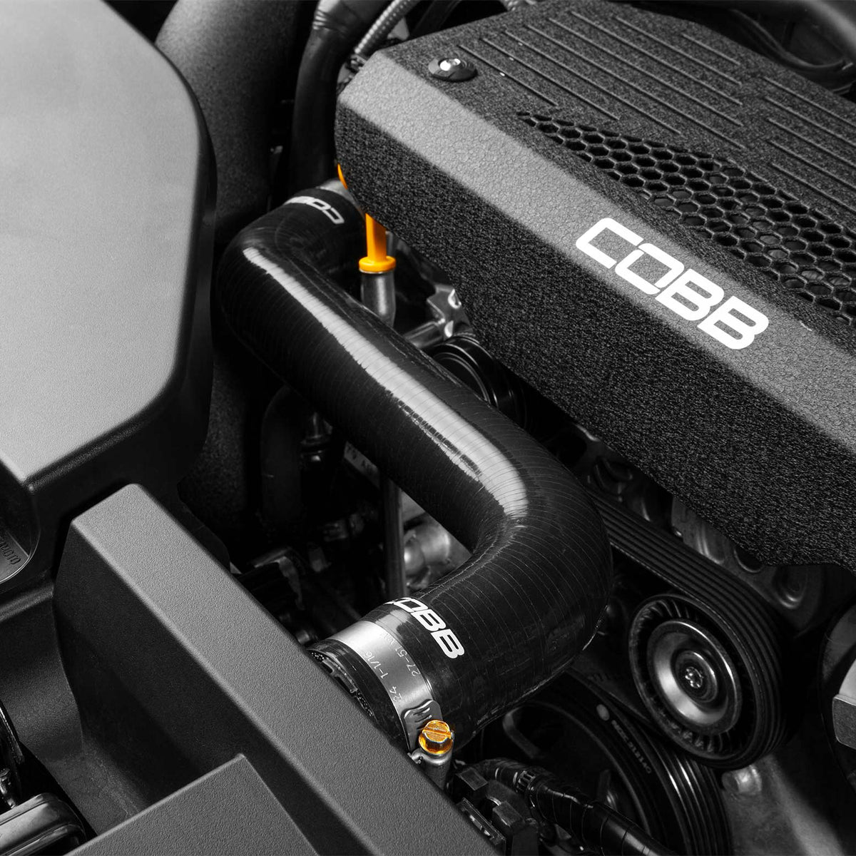COBB silicone radiator hose kit – Subaru WRX VB – hose installed beside the COBB engine cover