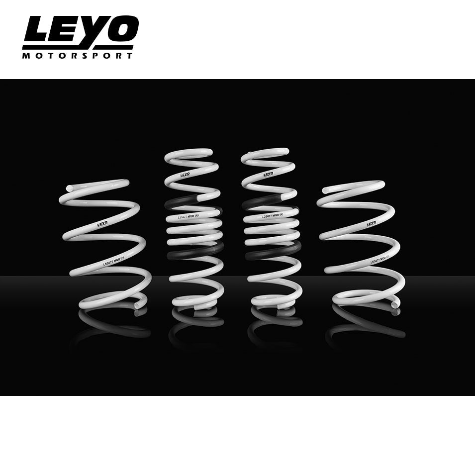 LEYO lowering springs – Golf R Mk7 – set of four white springs on black background