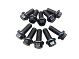 ARP Ring Gear Bolt Kit (10pc, M10) for Wavetrac - MINI Cooper S / JCW (R56 / F56)