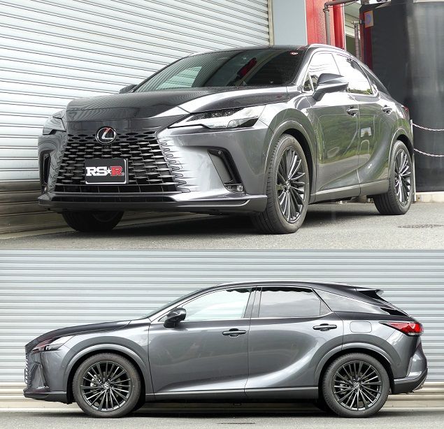 RS-R Down Lowering Springs - Lexus RX350 (TALA15) - Image 2