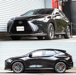 RS-R Down Lowering Springs - Lexus NX450h+ (AAZH26) - Image 2 - RS-R Thumbnail
