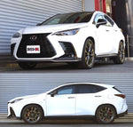 RS-R Down Lowering Springs - Lexus NX350h (AAZH25) - Image 2 - RS-R Thumbnail