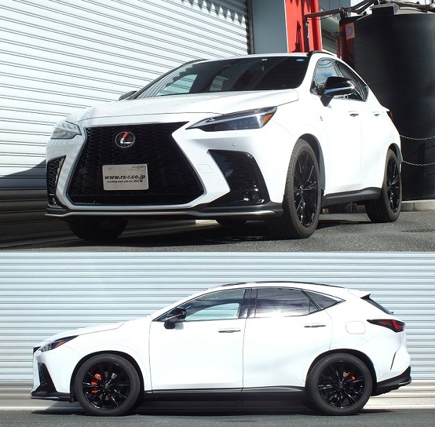 RS-R Down Lowering Springs - Lexus NX350 (TAZA25) - Image 2