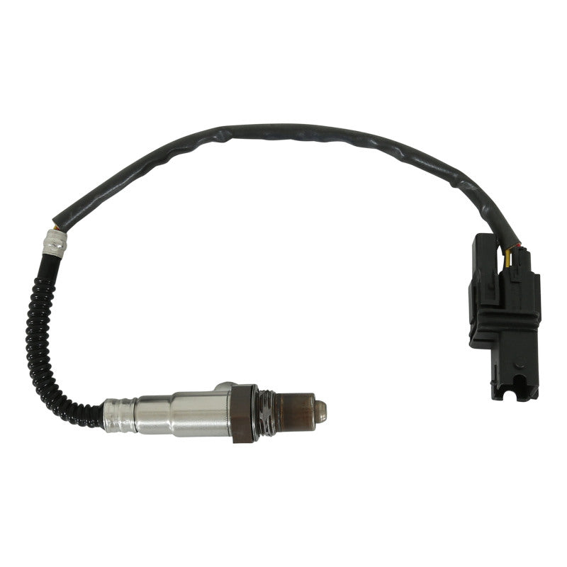 AEM Universal EMS Wideband O2 Sensor Kit - Universal - Image 3
