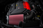 APR Carbon Fiber Intake Filter System - Audi RS3 (8V) TT RS (8S/8S Facelift) - Image 13 - APR Thumbnail