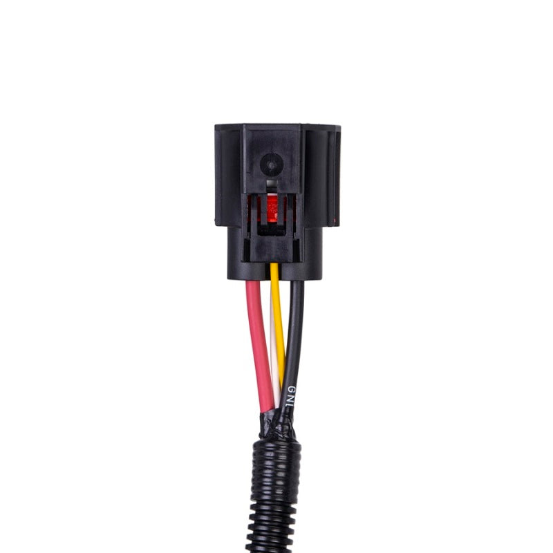 SPAL Brushless Fan Harness Adapter (SBL-YAZ-PT10) - Image 2