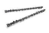 R.S.E. Camshaft Set Spec-R 272° 10.25mm Solid - Nissan Skyline R33 RB25DET NVCS