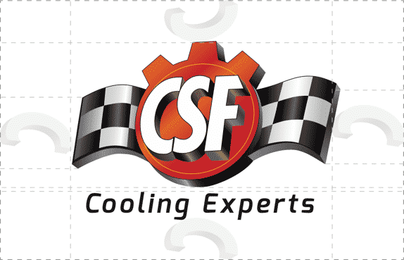 CSF