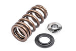 APR Valve Spring Kit - Universal - Single - APR Thumbnail