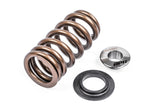 APR Valve Spring Kit - Universal - Single