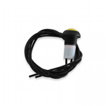 AEM 2-Button External Button Kit for CD Carbon Dashes - Chicane Australia - AEM Electronics Thumbnail