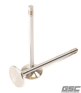 GSC Exhaust Valves – Audi DAZA/DNWA 2.5L 5-Cylinder