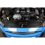 APR Carbon Radiator Cooling Plate – Ford Mustang GT S550 5.0 (2015–2017) - Chicane Australia - APR Performance Thumbnail