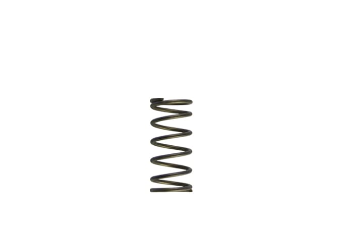 Turbosmart Gen-V Replacement Spring - Suits Gen-V WG60 - Image 2