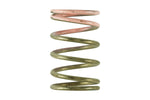 Turbosmart IWG Replacement Spring - Suits Gen-V IWG - Image 3 - Turbosmart Thumbnail