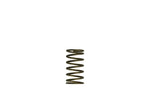 Turbosmart Gen-V Replacement Spring - Suits Gen-V WG60 - Turbosmart Thumbnail