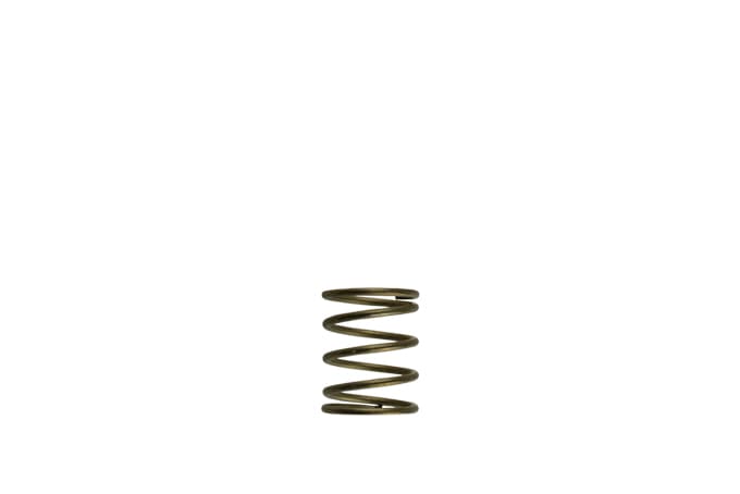 Turbosmart Gen-V Replacement Spring - Suits Gen-V WG45 / WG50 - Turbosmart