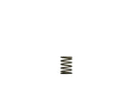 Turbosmart Gen-V Replacement Spring - Suits Gen-V WG38 / WG40 - Turbosmart Thumbnail
