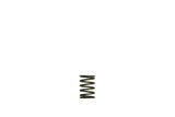 Turbosmart Gen-V Replacement Spring - Suits Gen-V WG38 / WG40