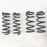 RS-R Down Lowering Springs - Nissan 350Z (Z33)