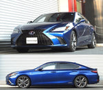 RS-R Down Lowering Springs - Lexus ES300h (AXZH10) - Image 3 - RS-R Thumbnail