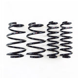 RS-R Down Lowering Springs - Lexus NX450h+ (AAZH26)
