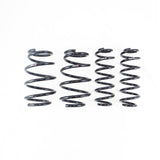 RS-R Down Lowering Springs - Lexus NX350 (TAZA25)