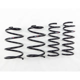 RS-R Down Lowering Springs - Ford Focus ST (LW)